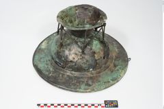 Foto von Bronzebreitrandfußschale (NHMW-PRAE-025437)